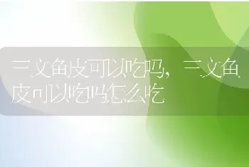 三文鱼皮可以吃吗