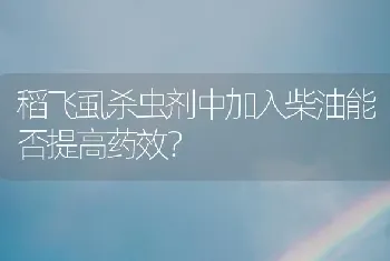 稻飞虱杀虫剂中加入柴油能否提高药效?