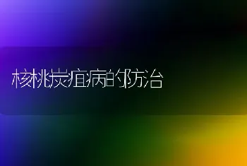 核桃炭疽病的防治