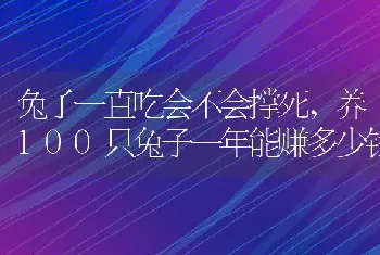 兔子一直吃会不会撑死,养100只兔子一年能赚多少钱