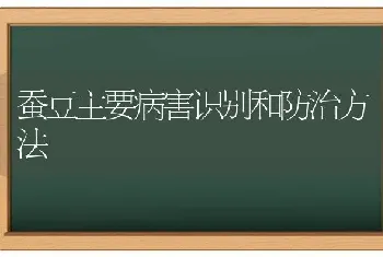 蚕豆主要病害识别和防治方法