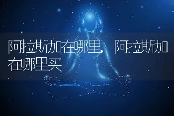 阿拉斯加在哪里