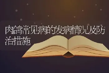 肉鸽常见病的发病情况及防治措施