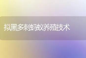 拟黑多刺蚂蚁养殖技术