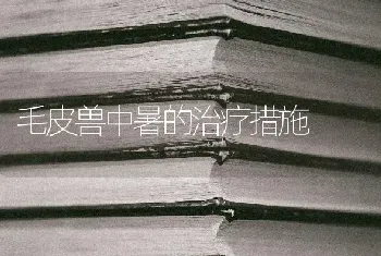 毛皮兽中暑的治疗措施