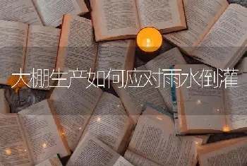 大棚生产如何应对雨水倒灌