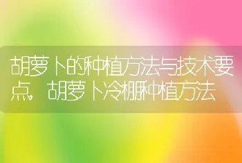 滴水观音适合在室内养吗