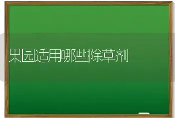 丝瓜内部为何发褐坏死