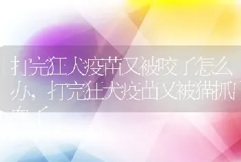 打完狂犬疫苗又被咬了怎么办,打完狂犬疫苗又被猫抓出血了