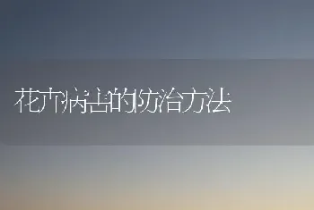 花卉病害的防治方法