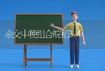 杂交中粳组合皖稻34