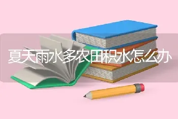 夏天雨水多农田积水怎么办