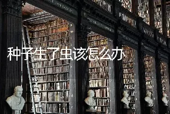 种子生了虫该怎么办