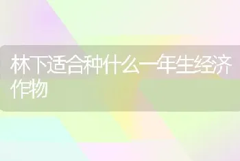 林下适合种什么一年生经济作物