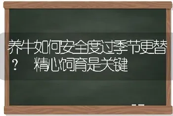 养牛如何安全度过季节更替? 精心饲育是关键