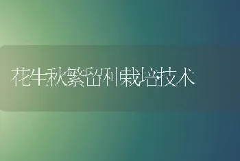 花生秋繁留种栽培技术