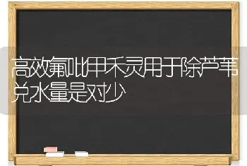 高效氟吡甲禾灵用于除芦苇兑水量是对少