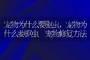 宠物为什么要驱虫,宠物为什么要驱虫 宠物修复方法