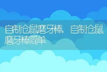 自制仓鼠磨牙棒