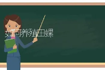 如何养殖田螺