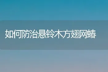 如何防治悬铃木方翅网蝽