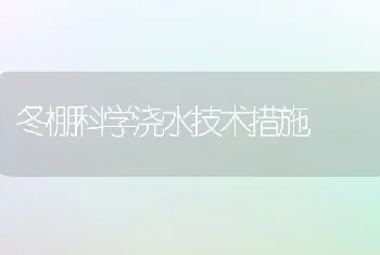 冬棚科学浇水技术措施