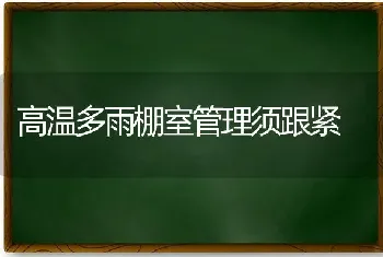 施用叶面肥牢记“四个建议”