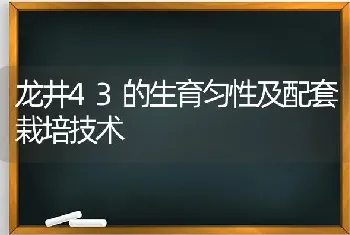 龙井43的生育匀性及配套栽培技术