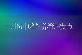 十月份中蜂饲养管理要点