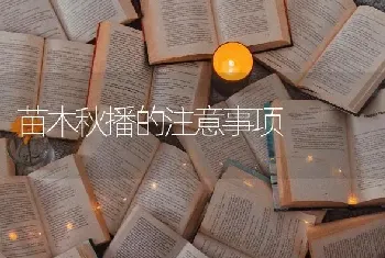 苗木秋播的注意事项