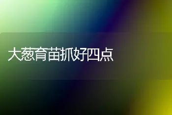 大葱育苗抓好四点