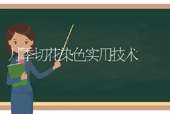 月季切花染色实用技术