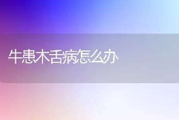 牛患木舌病怎么办