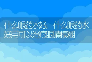 什么眼药水好,什么眼药水好用可以治疗眼睛模糊