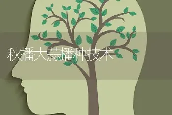 秋播大蒜播种技术