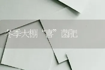 冬季大棚“喜”菌肥