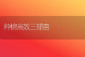 种棉高效三部曲