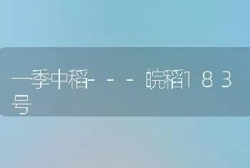 一季中稻---皖稻183号