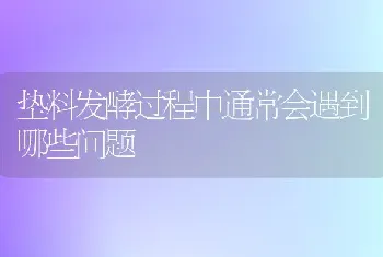 垫料发酵过程中通常会遇到哪些问题