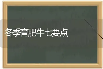 冬季育肥牛七要点