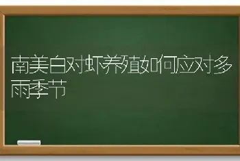 南美白对虾养殖如何应对多雨季节