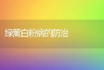 绿篱白粉病的防治