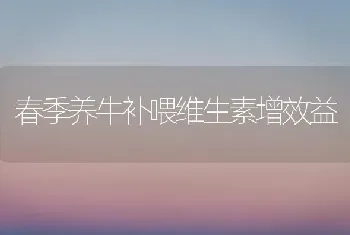 春季养牛补喂维生素增效益