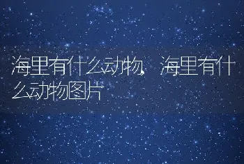 海里有什么动物