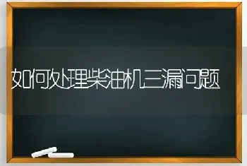 如何处理柴油机三漏问题