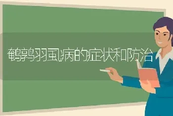 鹌鹑羽虱病的症状和防治