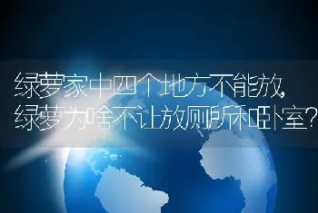 绿萝家中四个地方不能放