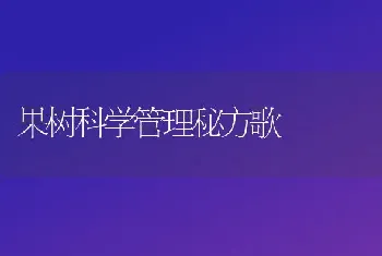 稻田养殖罗氏沼虾的关键措施