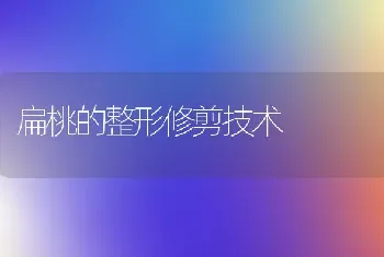 扁桃的整形修剪技术