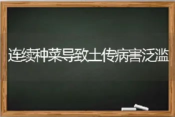 四个月育肥肉犬技术